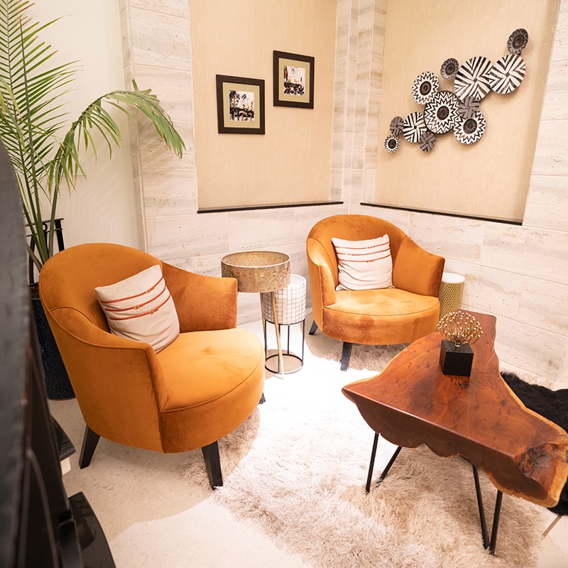 Modern Luxury Furniture Premium Interior